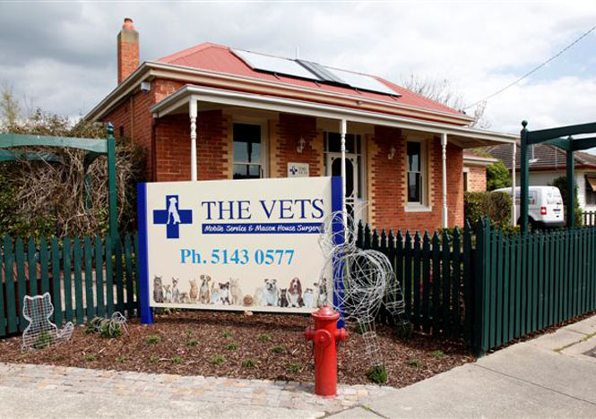 the_vets_image
